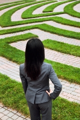 career_path_2